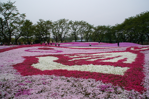 20060429_morinjiashikagatrip_010